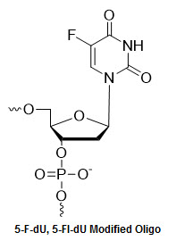 Bio-Synthesis Inc. Oligo Structure